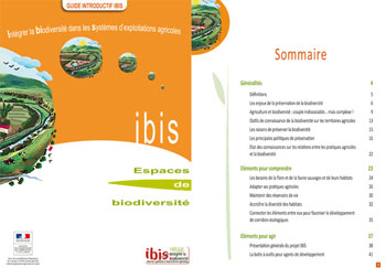 01ibis guide introduction
